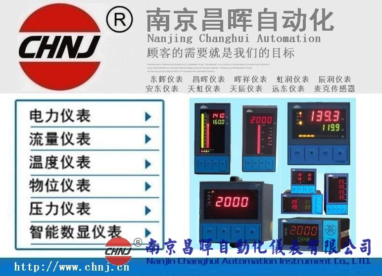 東輝儀表DY28T02、DY29T10P、DY22GT16P智能數(shù)字/光柱控制儀