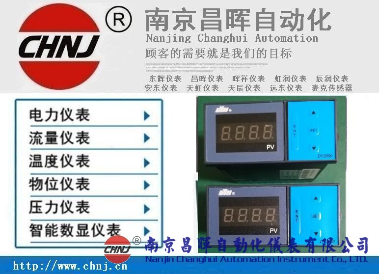 大延牌DY2000、東輝儀表、DY28B02/DY21B02/DY29B02數(shù)顯表