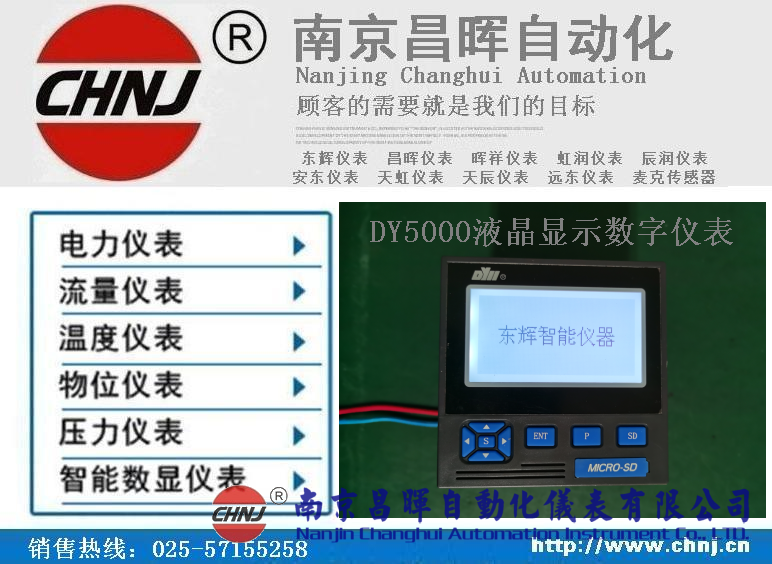 DY21ZL、DY22ZL00、DY59ZL60、DY5000（ZL）液晶顯示數(shù)字儀表